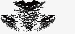漂浮蝙蝠素材