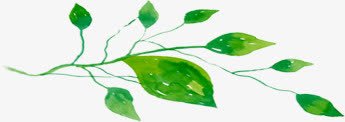 绿色夏日海报植物树叶png免抠素材_新图网 https://ixintu.com 夏日 树叶 植物 海报 绿色