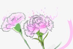 粉色手绘线条康乃馨花朵素材