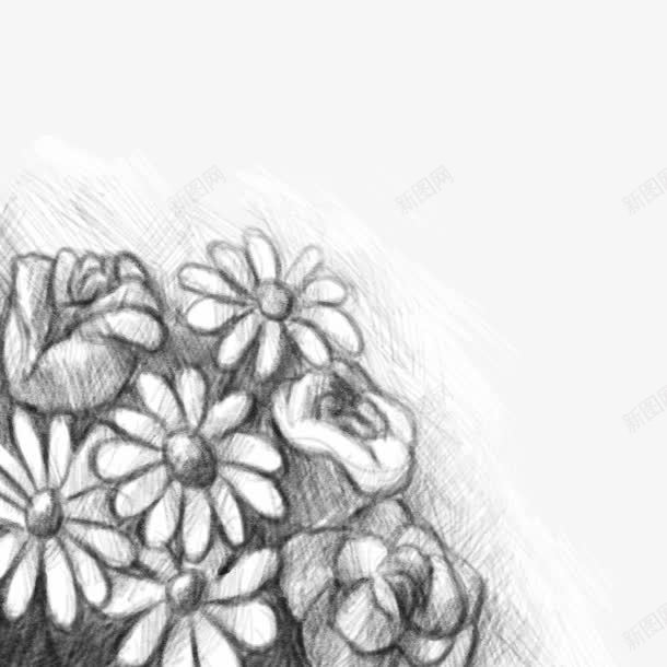 铅画小花png免抠素材_新图网 https://ixintu.com 玫瑰纹身 玫瑰花 素描 野花 黑色