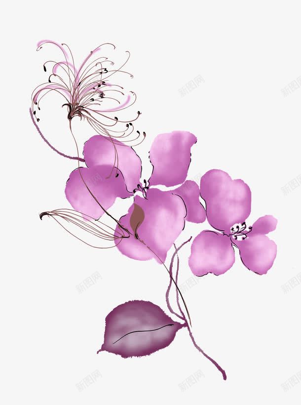 紫色手绘花朵边框背景png免抠素材_新图网 https://ixintu.com 手绘 紫色 紫花 背景 花朵 边框