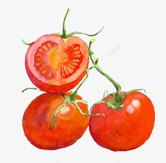 西红柿png免抠素材_新图网 https://ixintu.com 创意西红柿 柿子 番茄酱 红色柿子 诱人西红柿