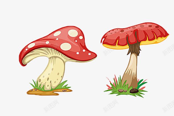 卡通蘑菇片png免抠素材_新图网 https://ixintu.com 蘑菇