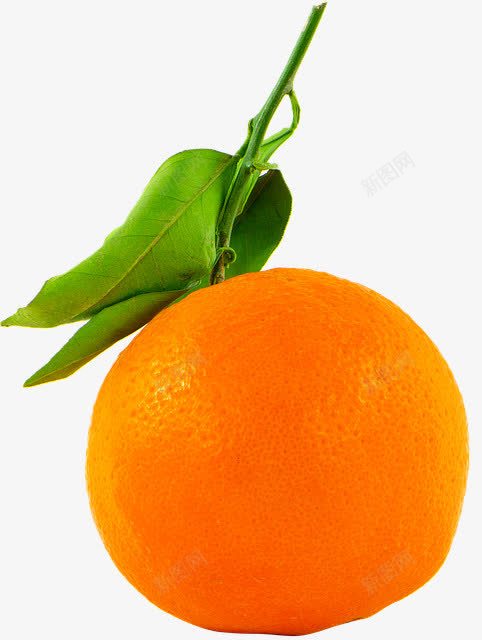 带绿叶的新鲜橙子png免抠素材_新图网 https://ixintu.com 新鲜 橘子 橙子 水果 维生素 营养
