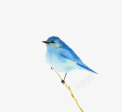 水彩艺术蓝色小鸟素材