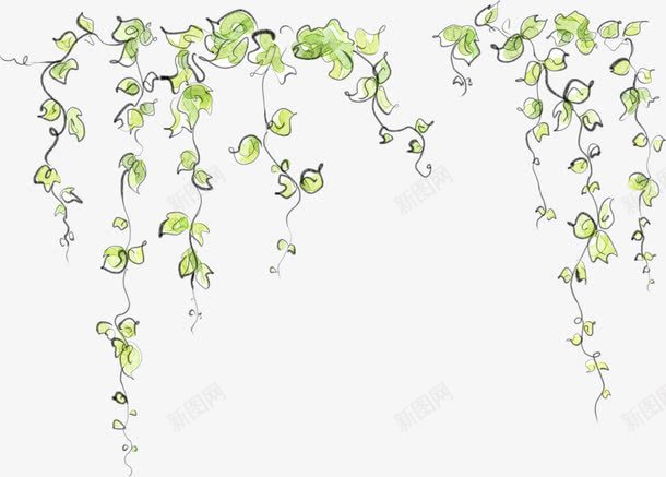 手绘春日唯美藤条装饰png免抠素材_新图网 https://ixintu.com 春日 藤条 装饰