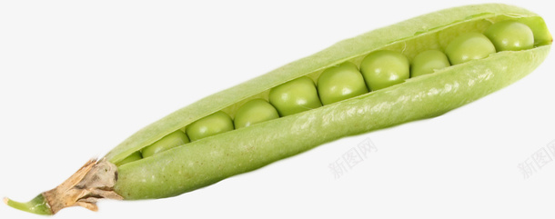 裂开的绿色夹豆png免抠素材_新图网 https://ixintu.com 植物 蔬菜 豆类 食品