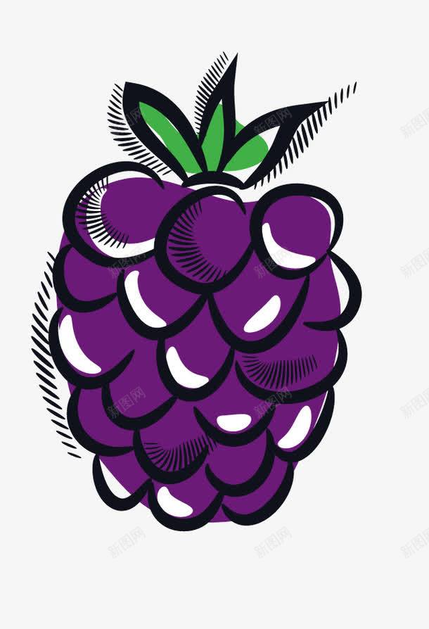 手绘树莓png免抠素材_新图网 https://ixintu.com 手绘 果实 树莓 水果 紫色 绘画 食物
