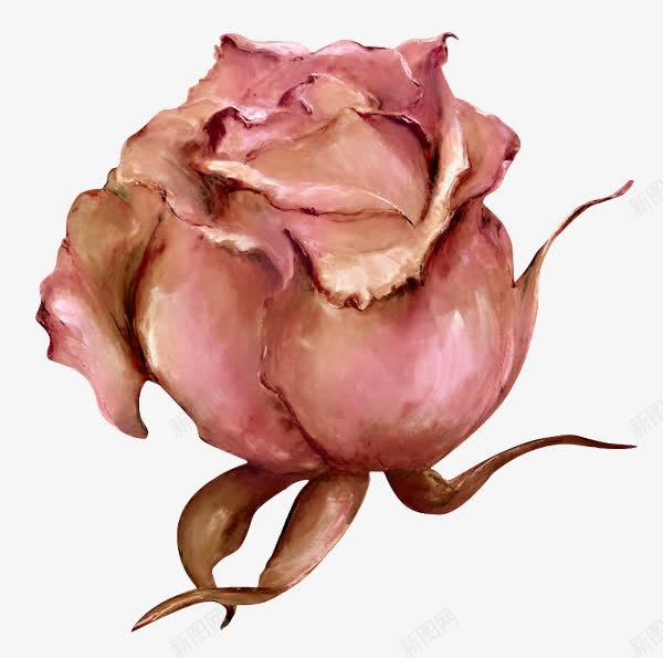 一朵玫瑰png免抠素材_新图网 https://ixintu.com 手绘 粉色 素材 装饰