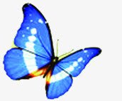 春天蓝色纹理光效蝴蝶装饰素材