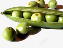 创意绿色苹果豆荚素材