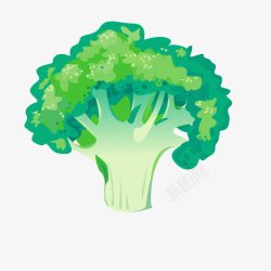 绿色蔬菜西兰花素材