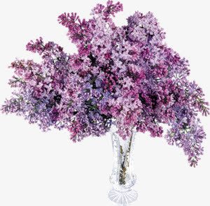 玻璃瓶紫色花束png免抠素材_新图网 https://ixintu.com 玻璃瓶 紫色 花束