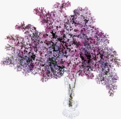 玻璃瓶紫色花束素材