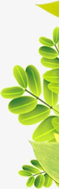 手绘质感创意绿色植物树叶png免抠素材_新图网 https://ixintu.com 创意 树叶 绿色植物 质感