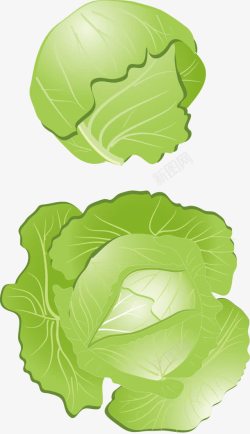 创意蔬菜大白菜图素材