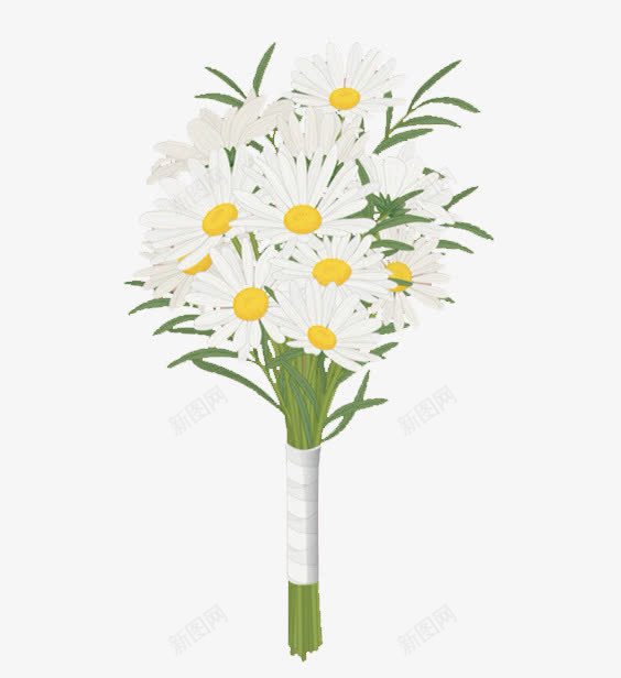 白色小雏菊png免抠素材_新图网 https://ixintu.com 植物 白色 绿叶 花朵 雏菊