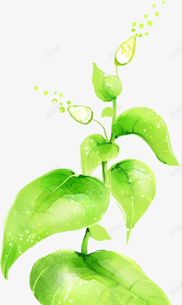 绿色树叶花朵美景png免抠素材_新图网 https://ixintu.com 树叶 绿色 美景 花朵