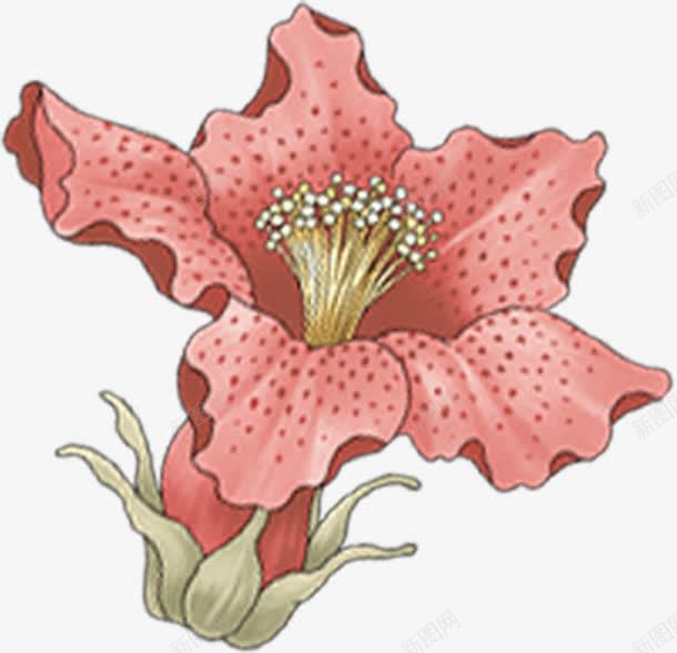 绘画创意花卉海报png免抠素材_新图网 https://ixintu.com 创意 海报 绘画 花卉