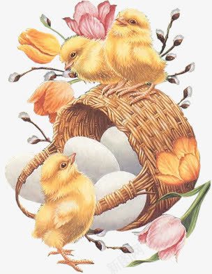 雏鸡鸡蛋篮子png免抠素材_新图网 https://ixintu.com png素材 篮子 篮子里的鸡蛋 雏鸡 鸡蛋