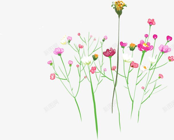 手绘粉色夏季花朵png免抠素材_新图网 https://ixintu.com 夏季 粉色 花朵