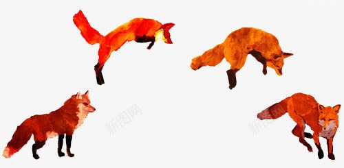 四只跳跃的狐狸png免抠素材_新图网 https://ixintu.com 可爱狐狸 图案设计 狐狸 黄色狐狸