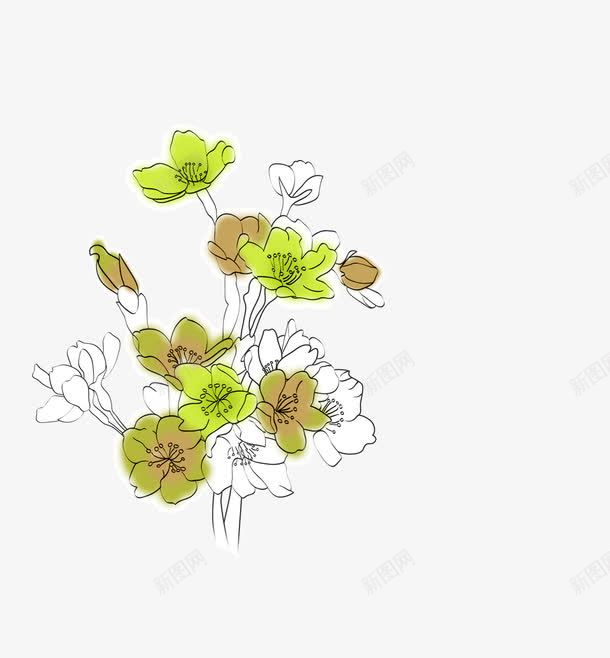 素描花朵png免抠素材_新图网 https://ixintu.com 墨痕 绿色 花卉 花朵