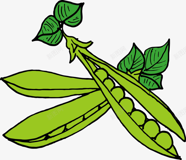 绿色豌豆矢量图ai免抠素材_新图网 https://ixintu.com 创意 精美 绿色 绿色豌豆 豌豆 豌豆设计 矢量图