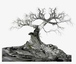 灰色枯树老树装饰图案素材