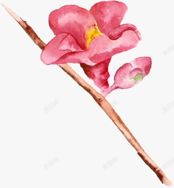 枝干上的花png免抠素材_新图网 https://ixintu.com 卡通 手绘 枝干 棕色 简图 红色 花朵 花瓣