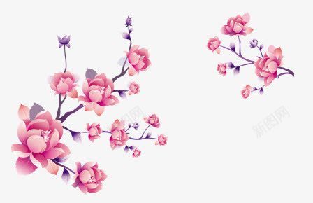 粉色的花朵对称开放png免抠素材_新图网 https://ixintu.com 对称 开放 粉色 花朵