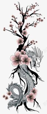 水彩树苗树枝高清图片