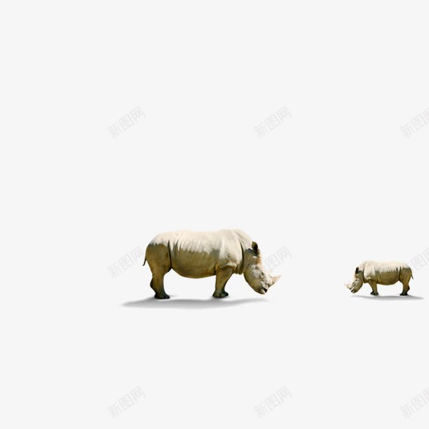 犀牛png免抠素材_新图网 https://ixintu.com 写实 动物 犀牛