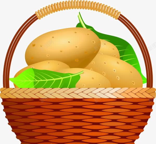 一筐土豆png免抠素材_新图网 https://ixintu.com 土豆 手绘 筐子 蔬菜 食材 食物