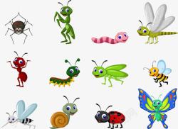创意螳螂动物世界高清图片
