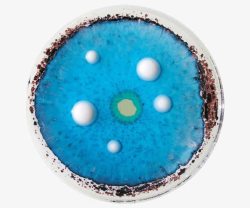 蓝色培养皿蓝色盘子里的视觉艺术高清图片