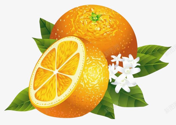 橙子图案png免抠素材_新图网 https://ixintu.com 图案 橙子 白色的花 高清