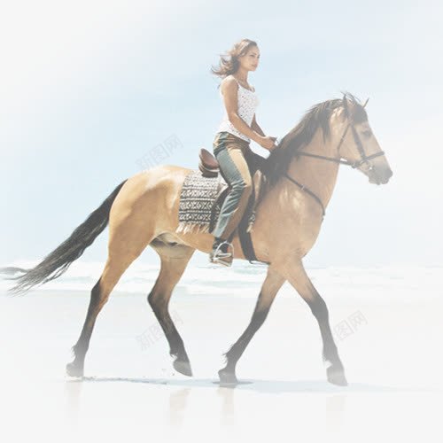 骑马的美女png免抠素材_新图网 https://ixintu.com 背景 背景图片 马 骑马的美女