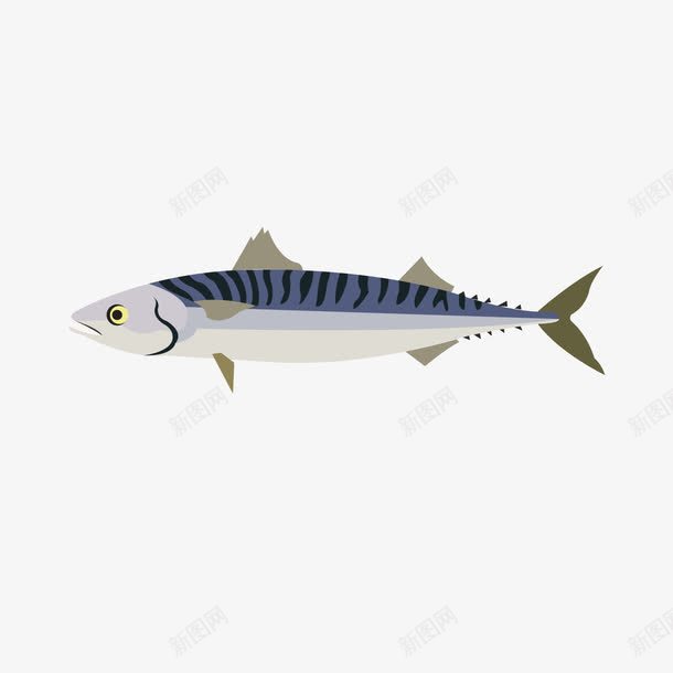 白色海鱼png免抠素材_新图网 https://ixintu.com 吃的 斜纹 海鱼 游动 白色 纹理 美食 食物 鱼类