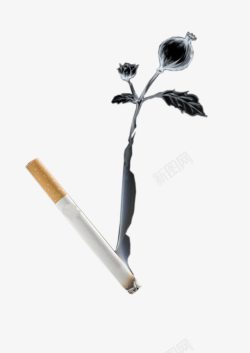 烟头罂粟抽烟有害健康素材