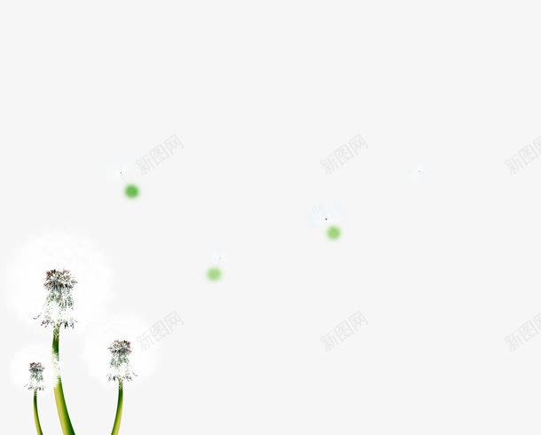 蒲公英psd免抠素材_新图网 https://ixintu.com 草 蒲公英 飞舞