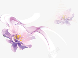 紫色花朵矢量图素材