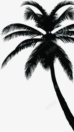 夏日海报椰子树手绘素材
