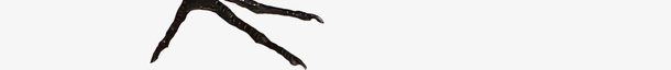 鸟虫动物元素png免抠素材_新图网 https://ixintu.com 卡通动物素材 手绘动物图片 虫鸟素材 鸟的素材
