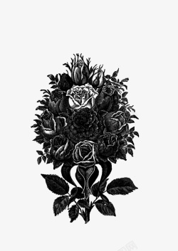 绘画植物玫瑰花黑白素材