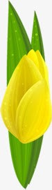 绿色树叶植物黄色花朵png免抠素材_新图网 https://ixintu.com 树叶 植物 绿色 花朵 黄色