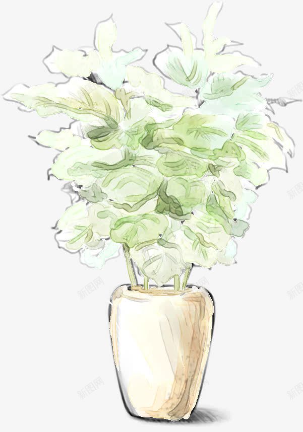 手绘唯美白色花朵植物png免抠素材_新图网 https://ixintu.com 植物 白色 花朵