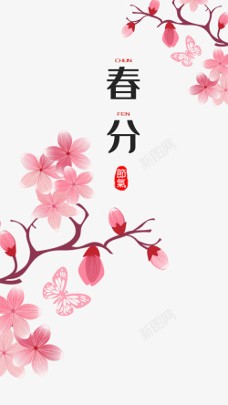 樱花公园春分樱花蝴蝶春天高清图片