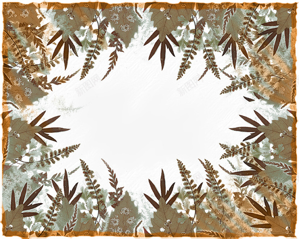 复古植物花纹png免抠素材_新图网 https://ixintu.com 复古 植物花纹 装饰边框 边框设计