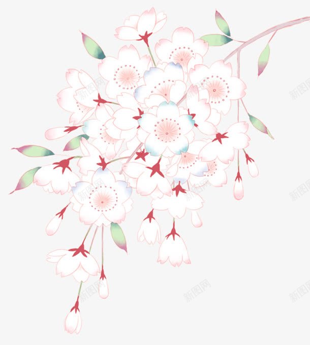 创意合成效果白色的花湖植物png免抠素材_新图网 https://ixintu.com 创意 合成 效果 植物 白色